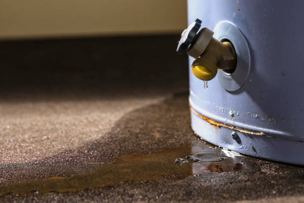 Best Residential Water Damage Restoration in Croom, MD