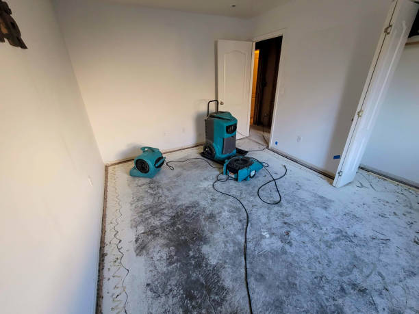 Best Odor Removal and Sanitization After Water Damage in Croom, MD