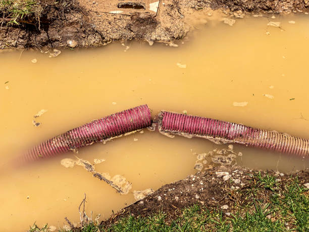 Best Basement Water Damage Restoration in Croom, MD